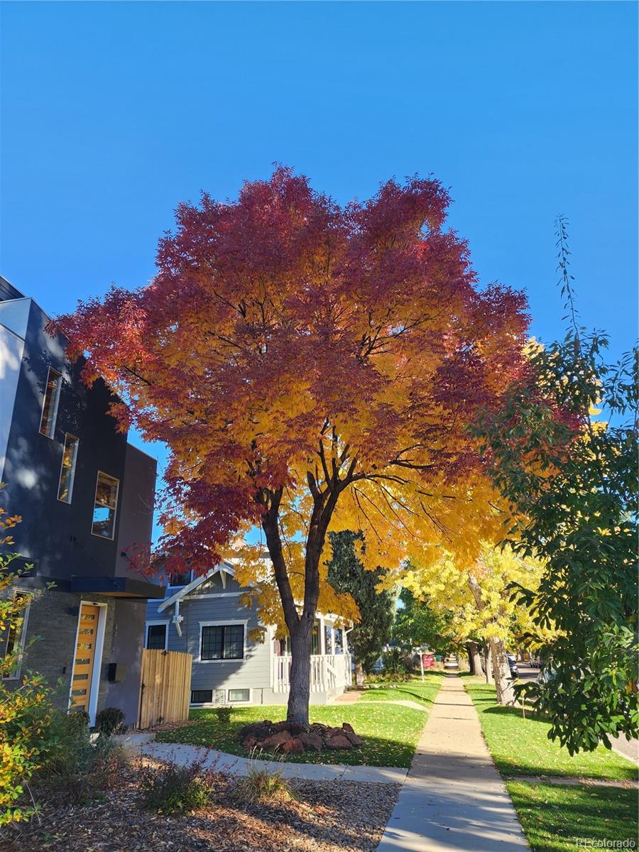 MLS Image #49 for 4415  winona court,denver, Colorado
