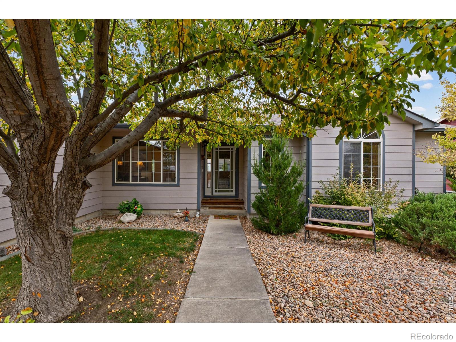 MLS Image #2 for 3430  adams drive,wellington, Colorado