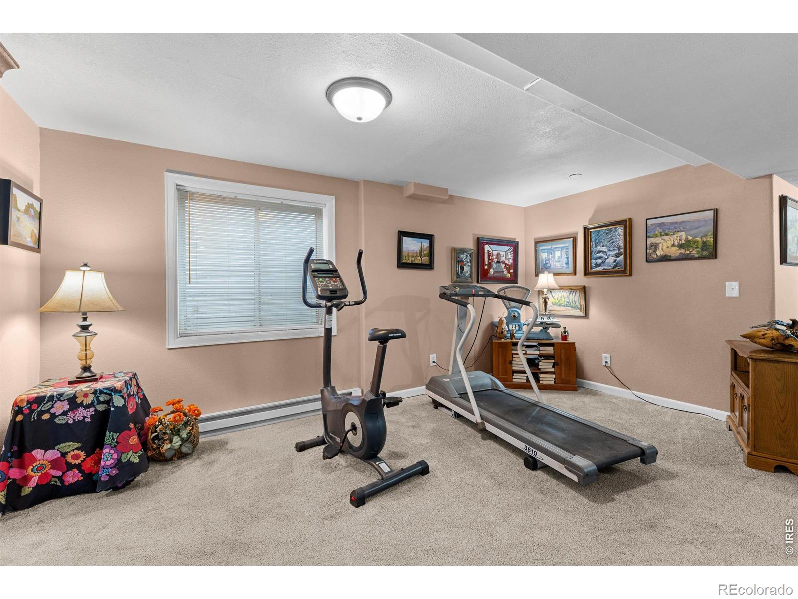 MLS Image #22 for 3430  adams drive,wellington, Colorado
