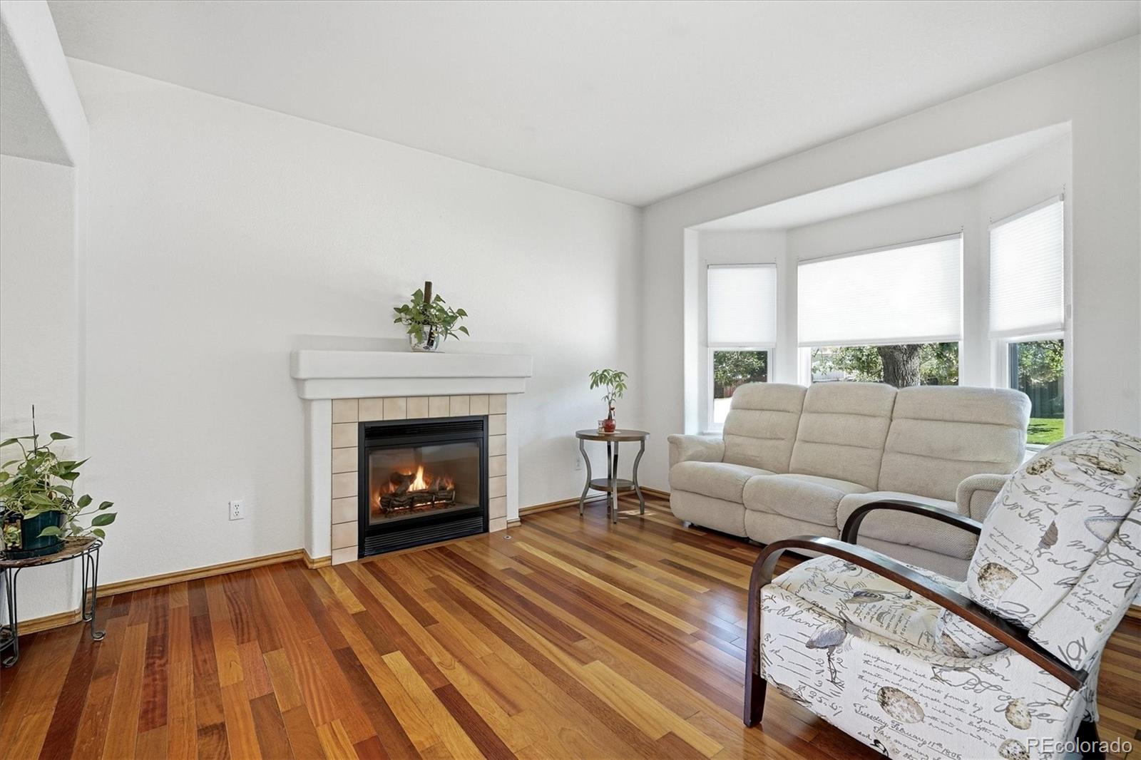 MLS Image #4 for 9103 w capri avenue,littleton, Colorado