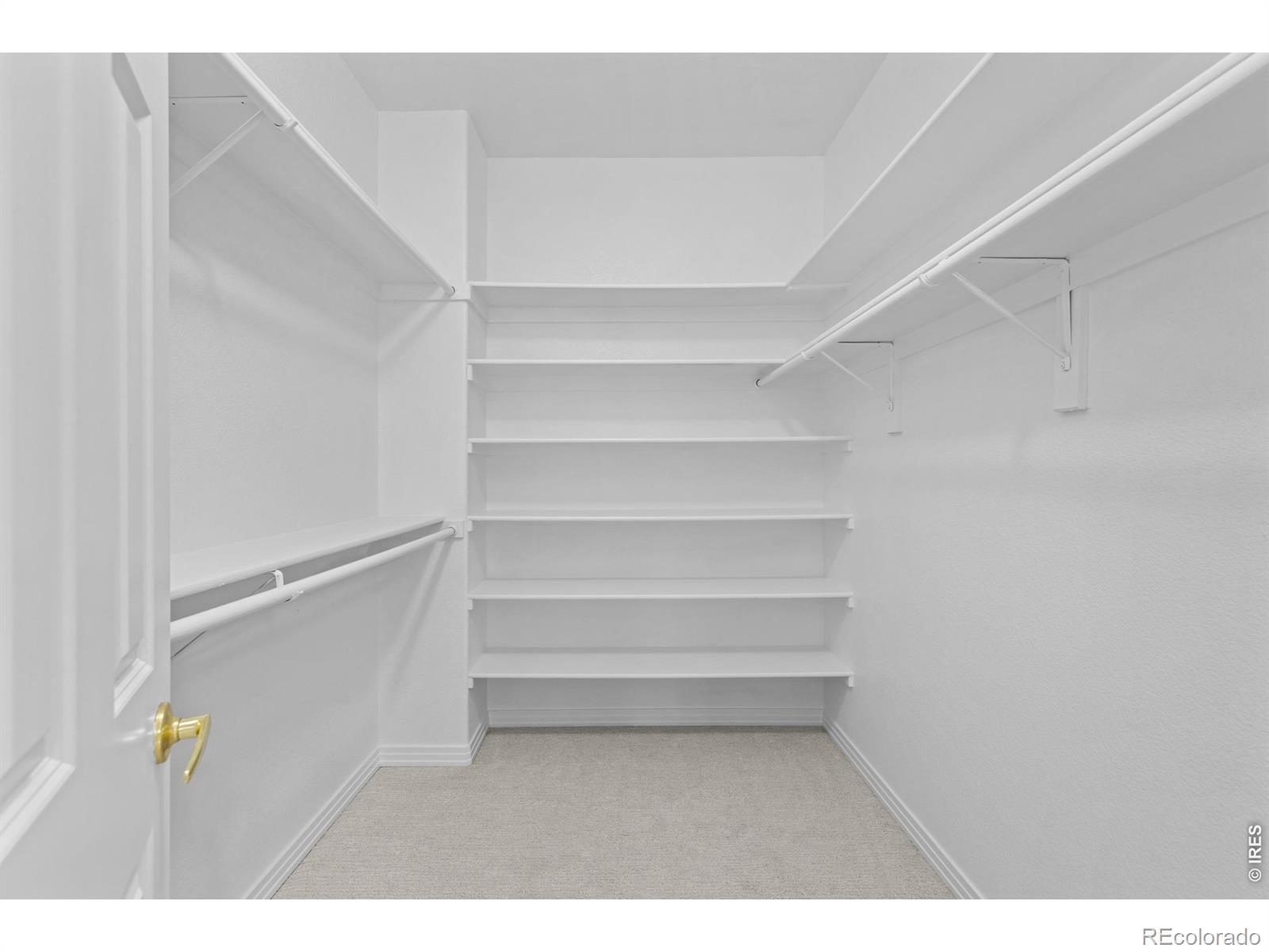 MLS Image #12 for 2985  bellmeade way,longmont, Colorado