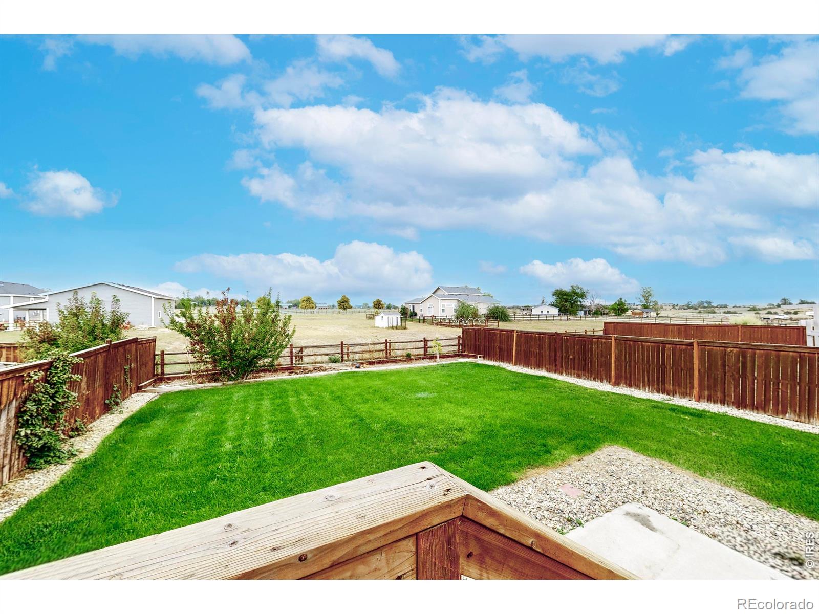 MLS Image #2 for 4488  granger drive,wellington, Colorado