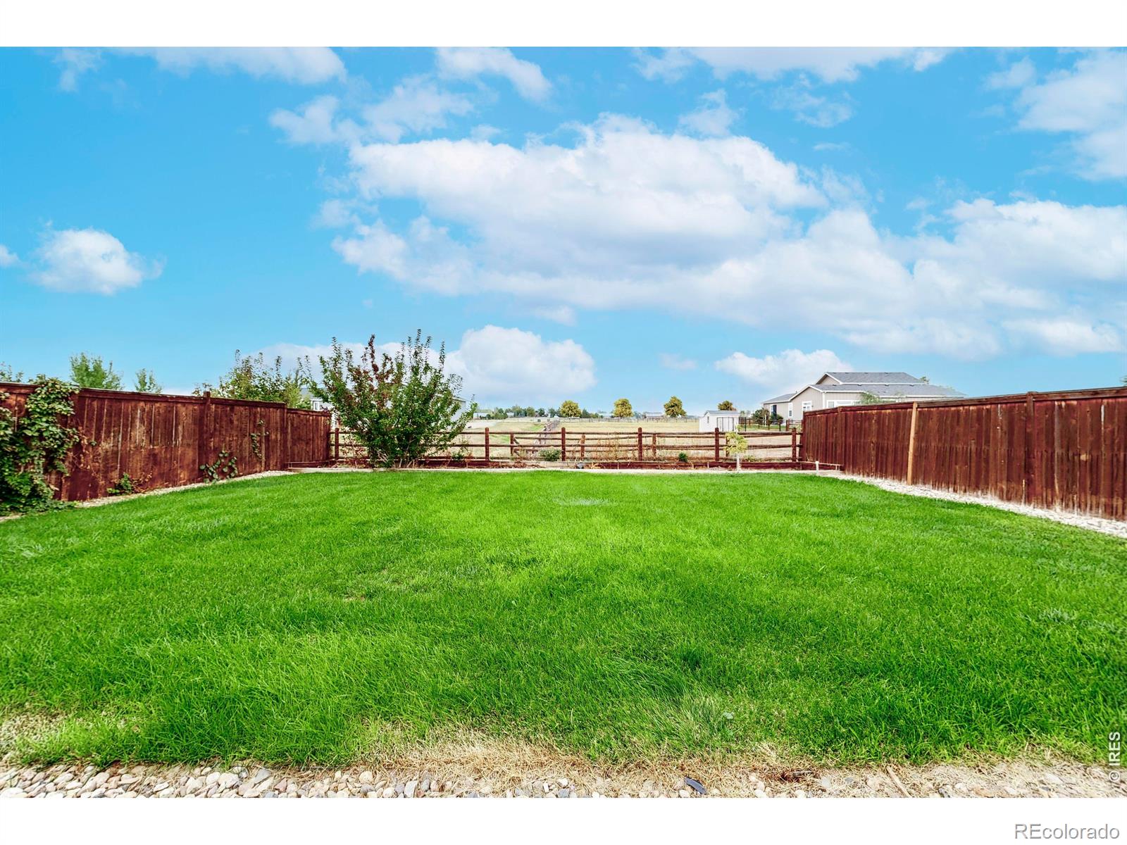 MLS Image #33 for 4488  granger drive,wellington, Colorado