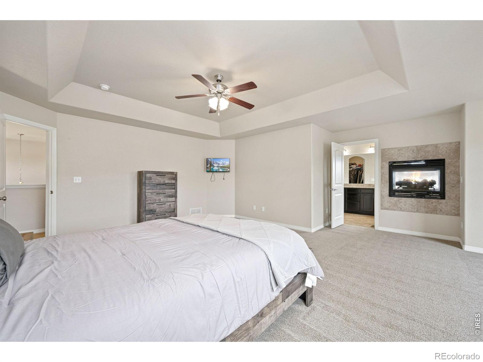 MLS Image #17 for 13587  horseshoe circle,mead, Colorado