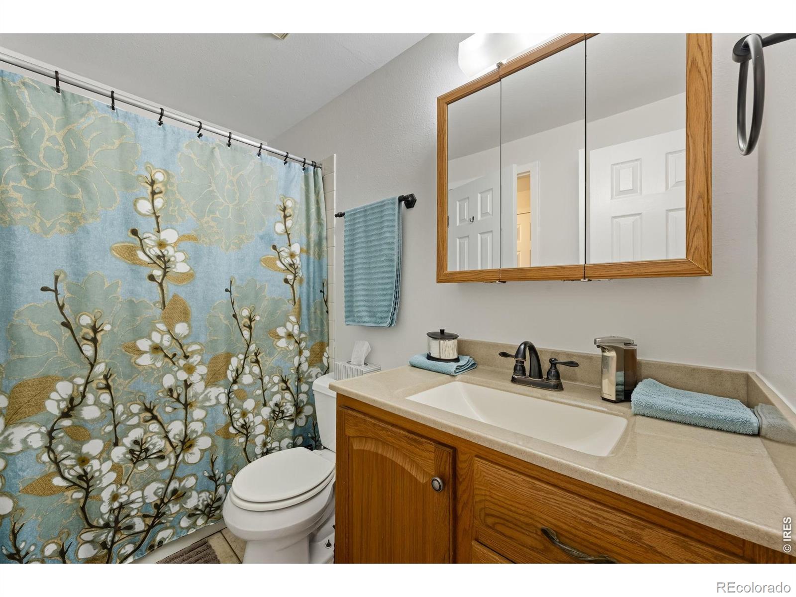 MLS Image #13 for 127  placer avenue,longmont, Colorado