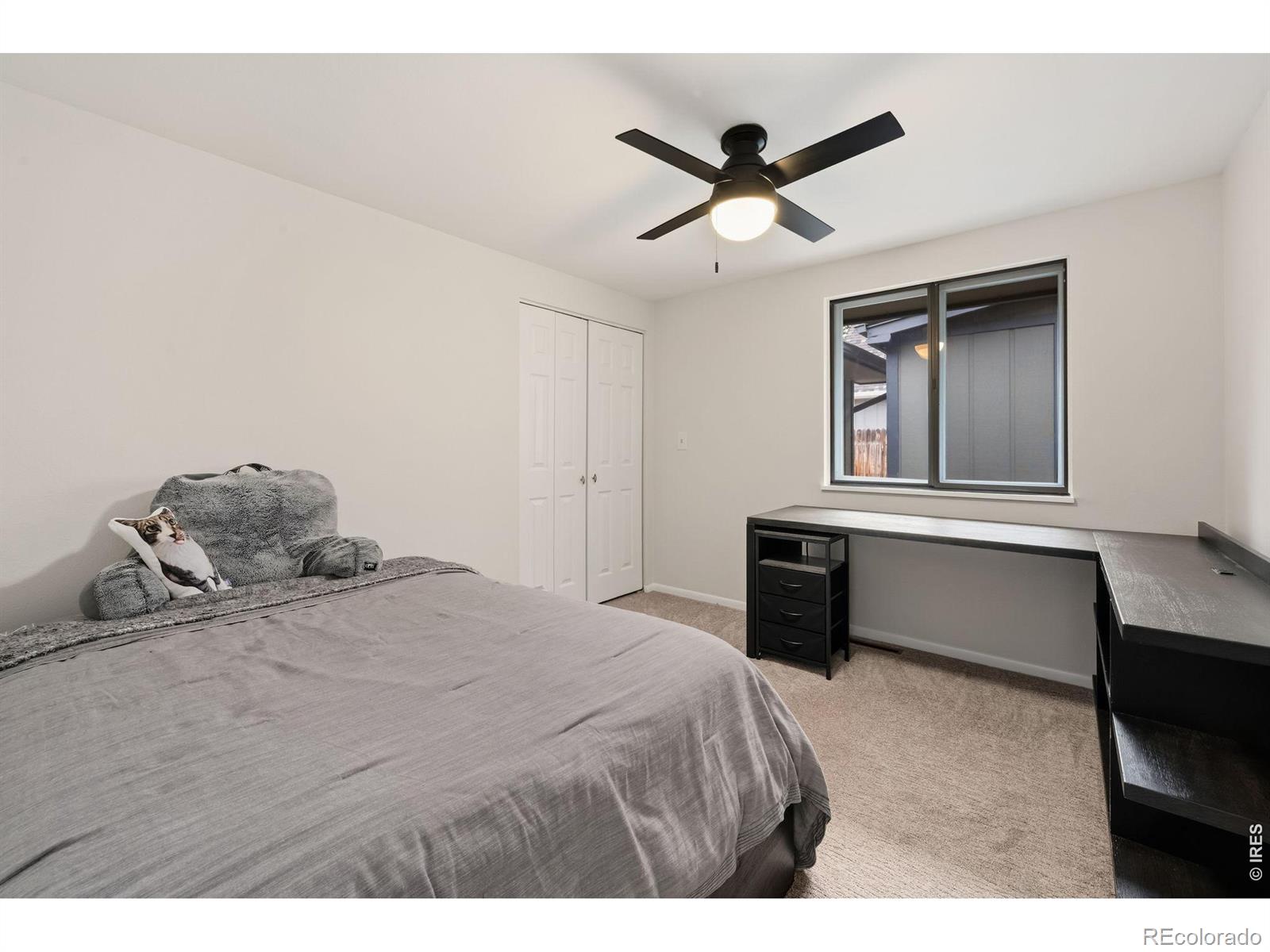 MLS Image #15 for 127  placer avenue,longmont, Colorado