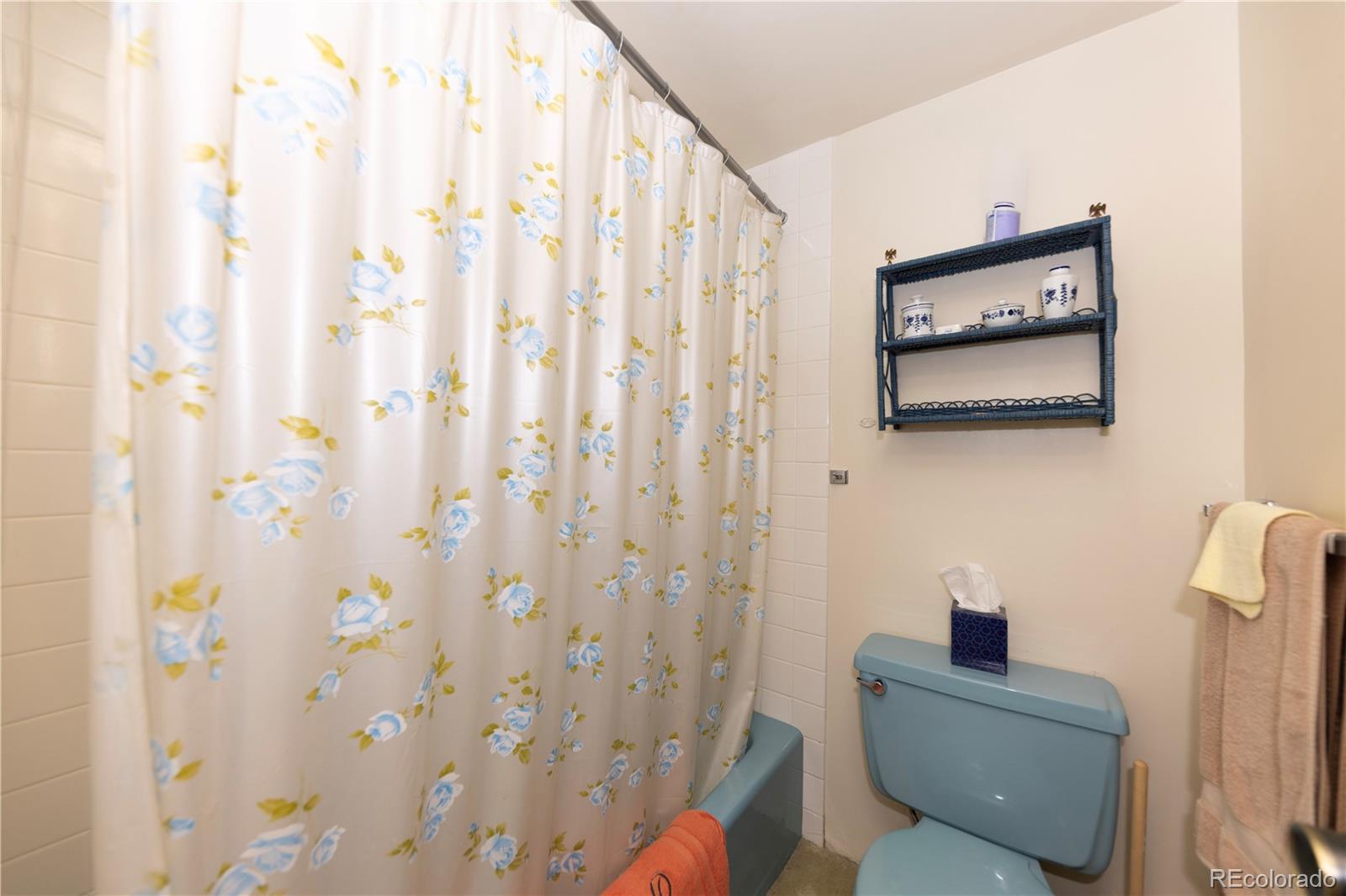MLS Image #25 for 614  tenderfoot street,dillon, Colorado