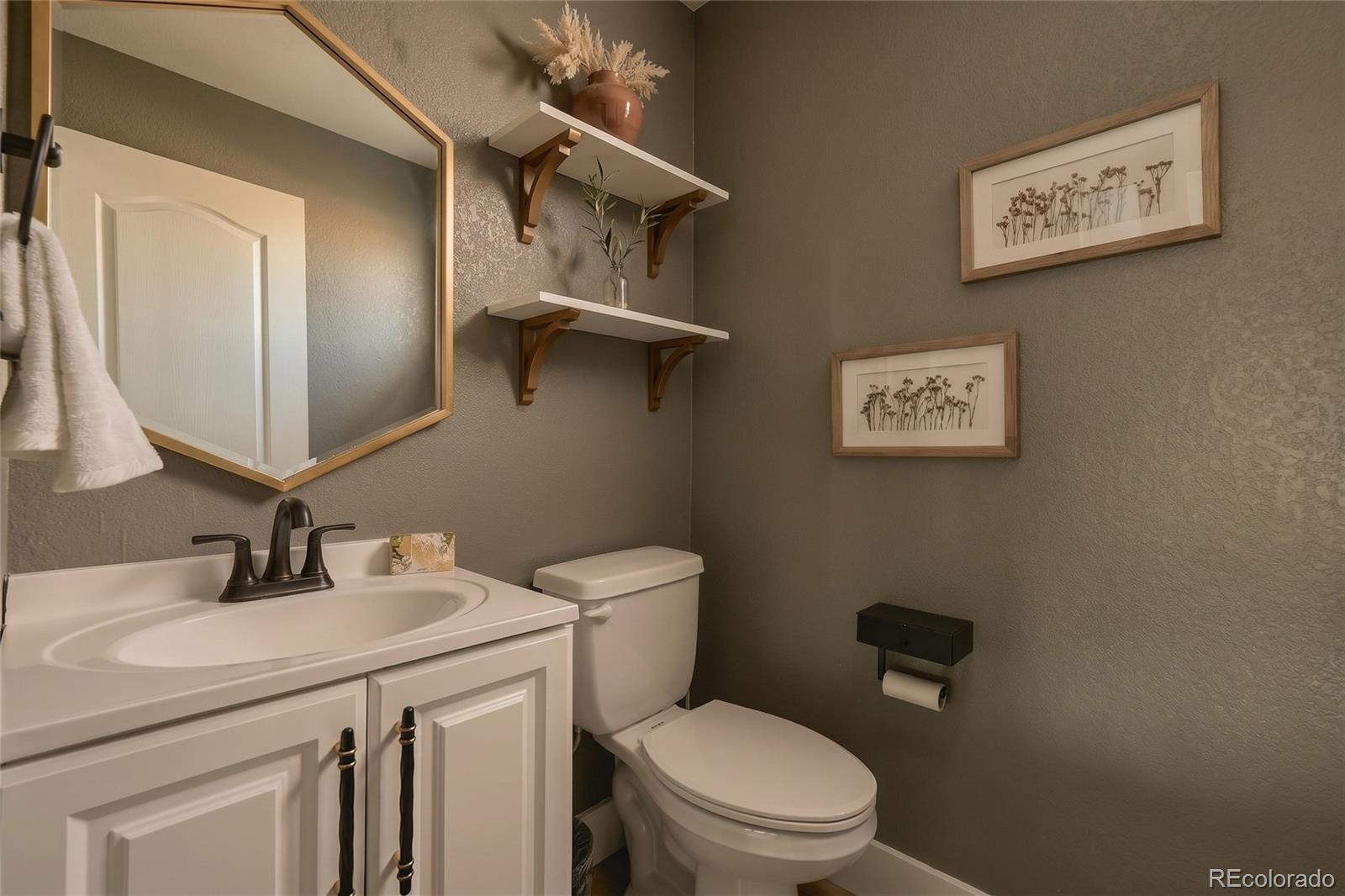 MLS Image #19 for 7537  red fox court,littleton, Colorado