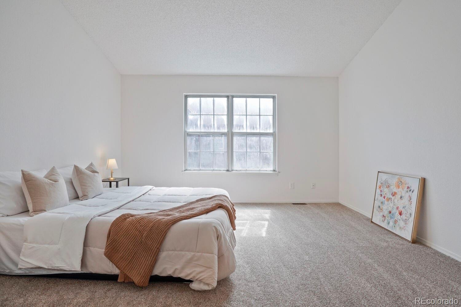 MLS Image #13 for 12063 e hoye drive ,aurora, Colorado