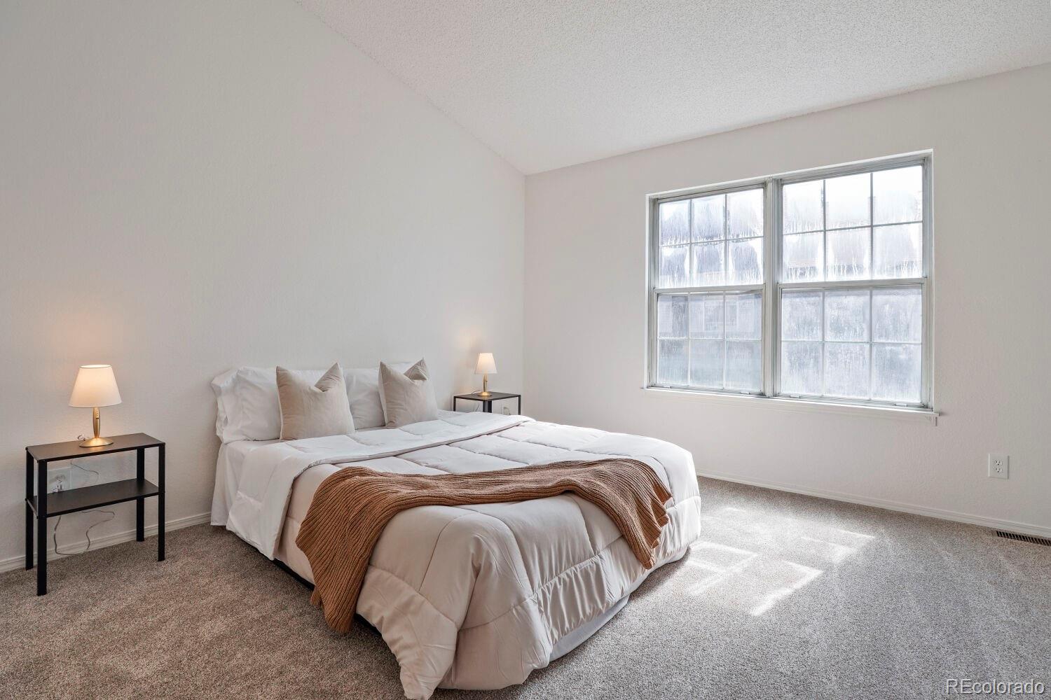 MLS Image #14 for 12063 e hoye drive ,aurora, Colorado