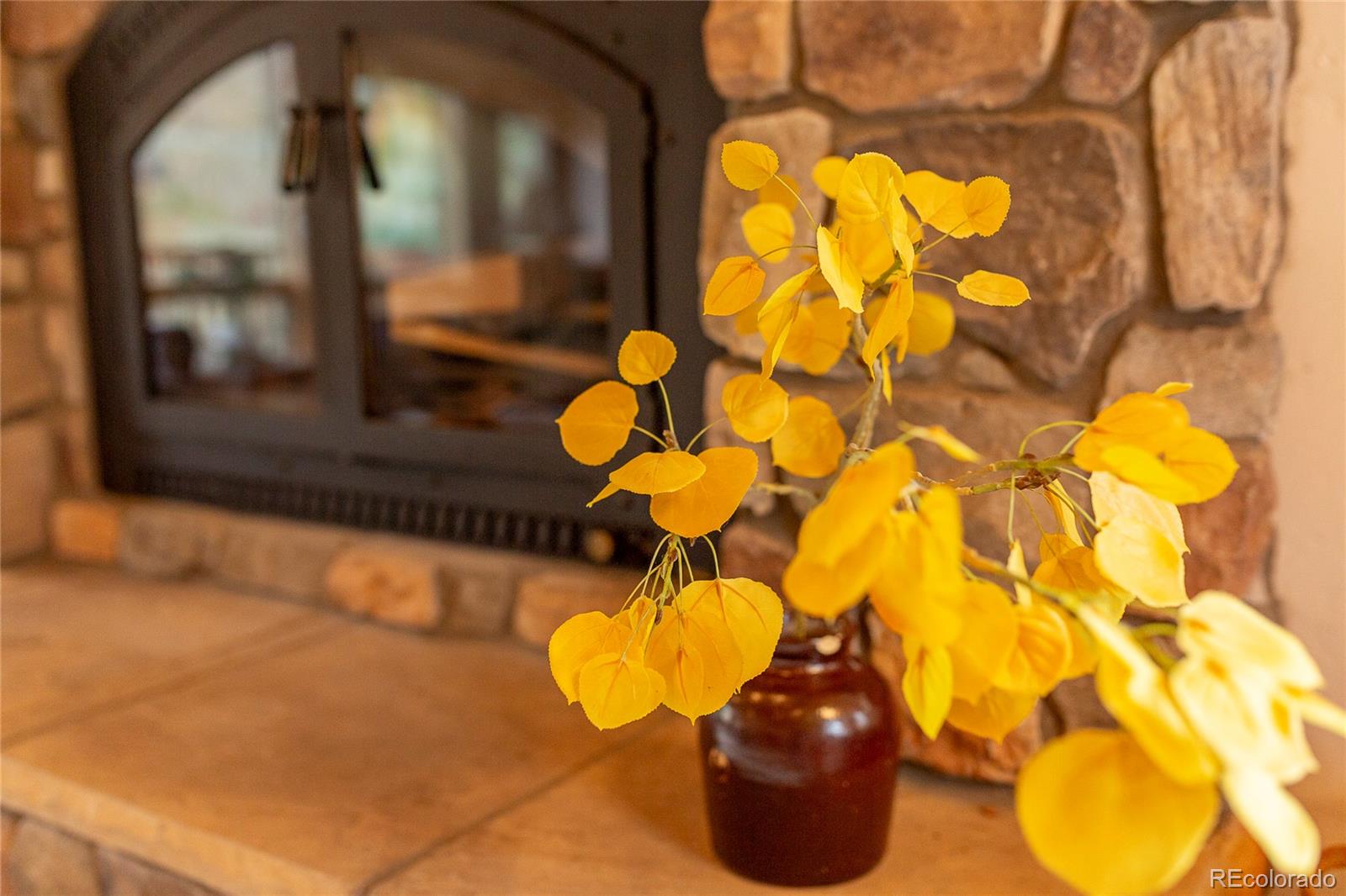 MLS Image #18 for 215  aspen drive,south fork, Colorado