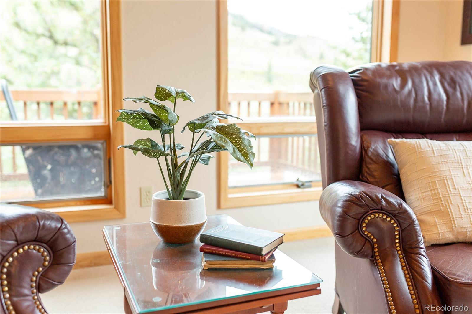 MLS Image #19 for 215  aspen drive,south fork, Colorado