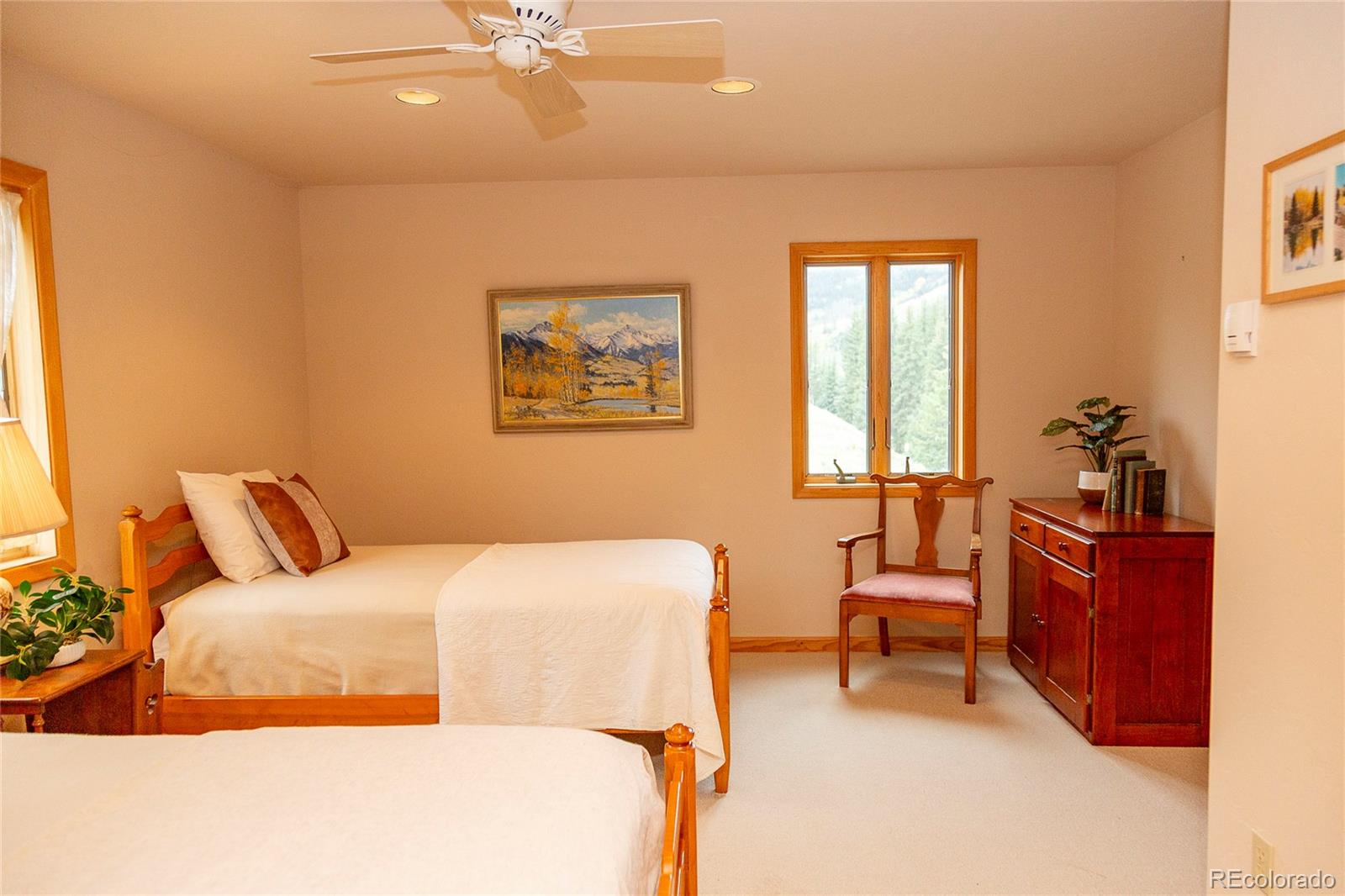 MLS Image #22 for 215  aspen drive,south fork, Colorado
