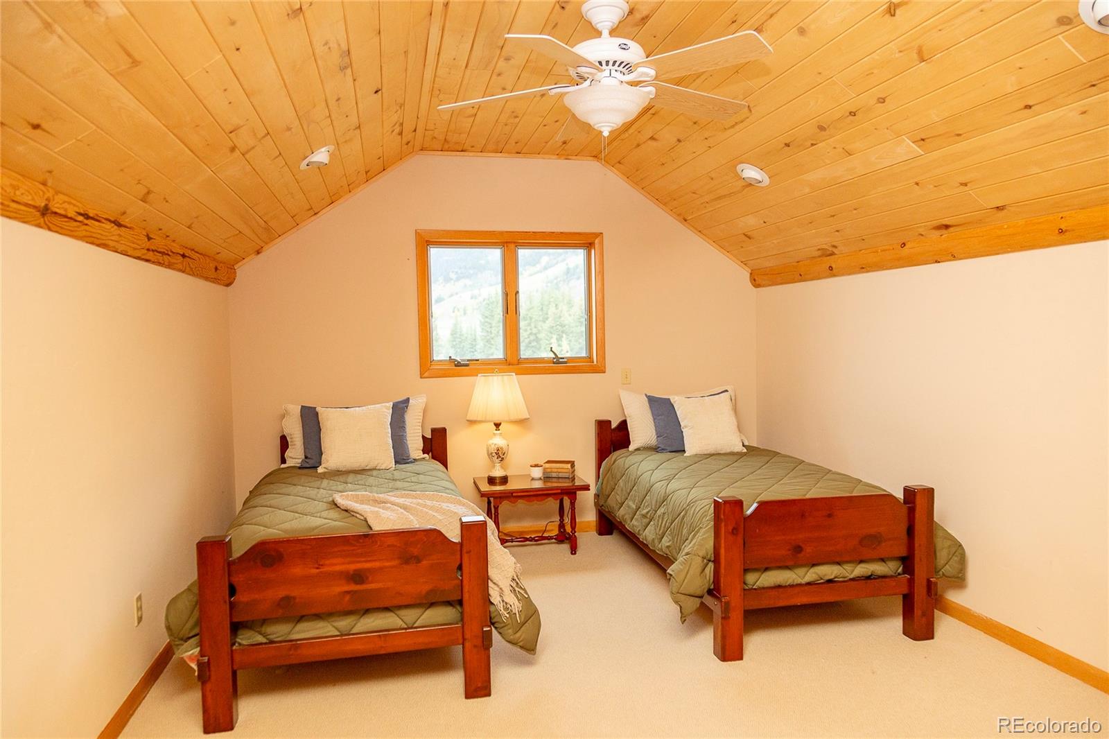 MLS Image #25 for 215  aspen drive,south fork, Colorado