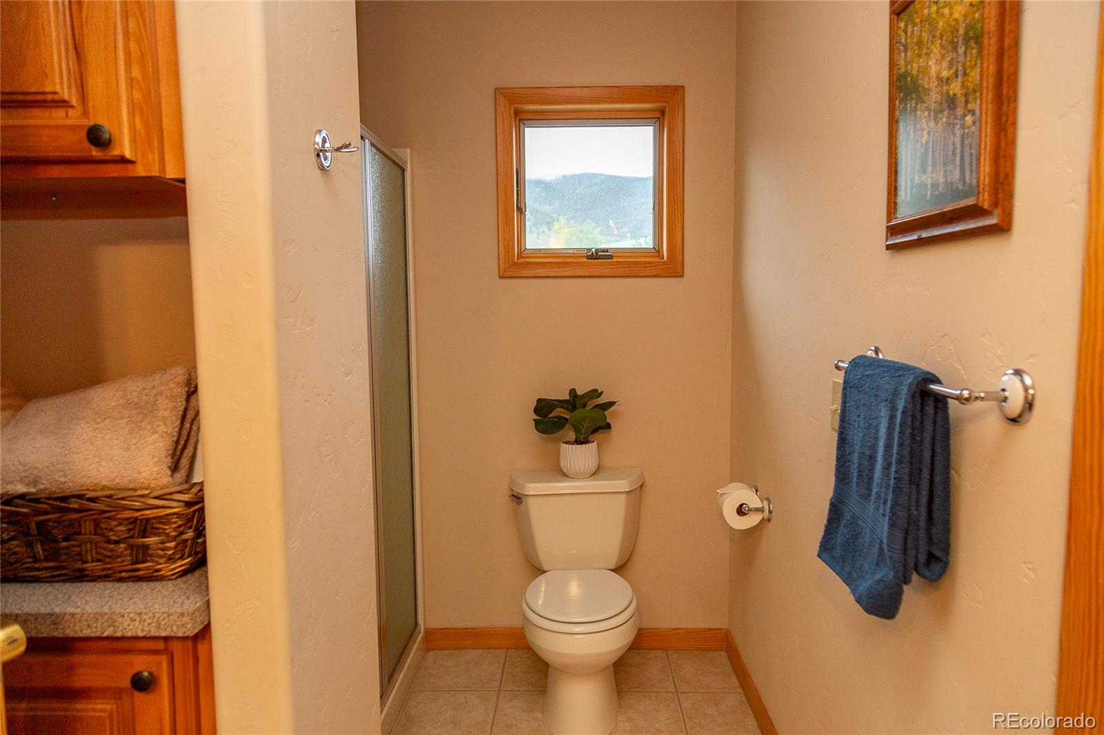 MLS Image #27 for 215  aspen drive,south fork, Colorado