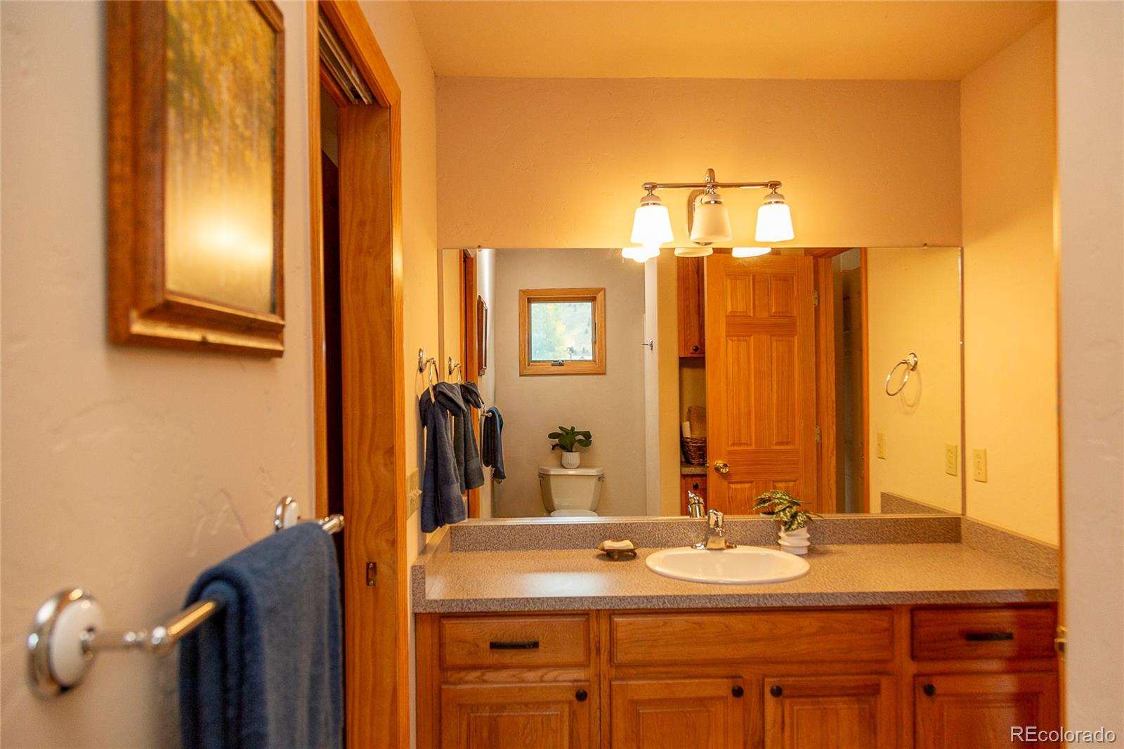 MLS Image #28 for 215  aspen drive,south fork, Colorado