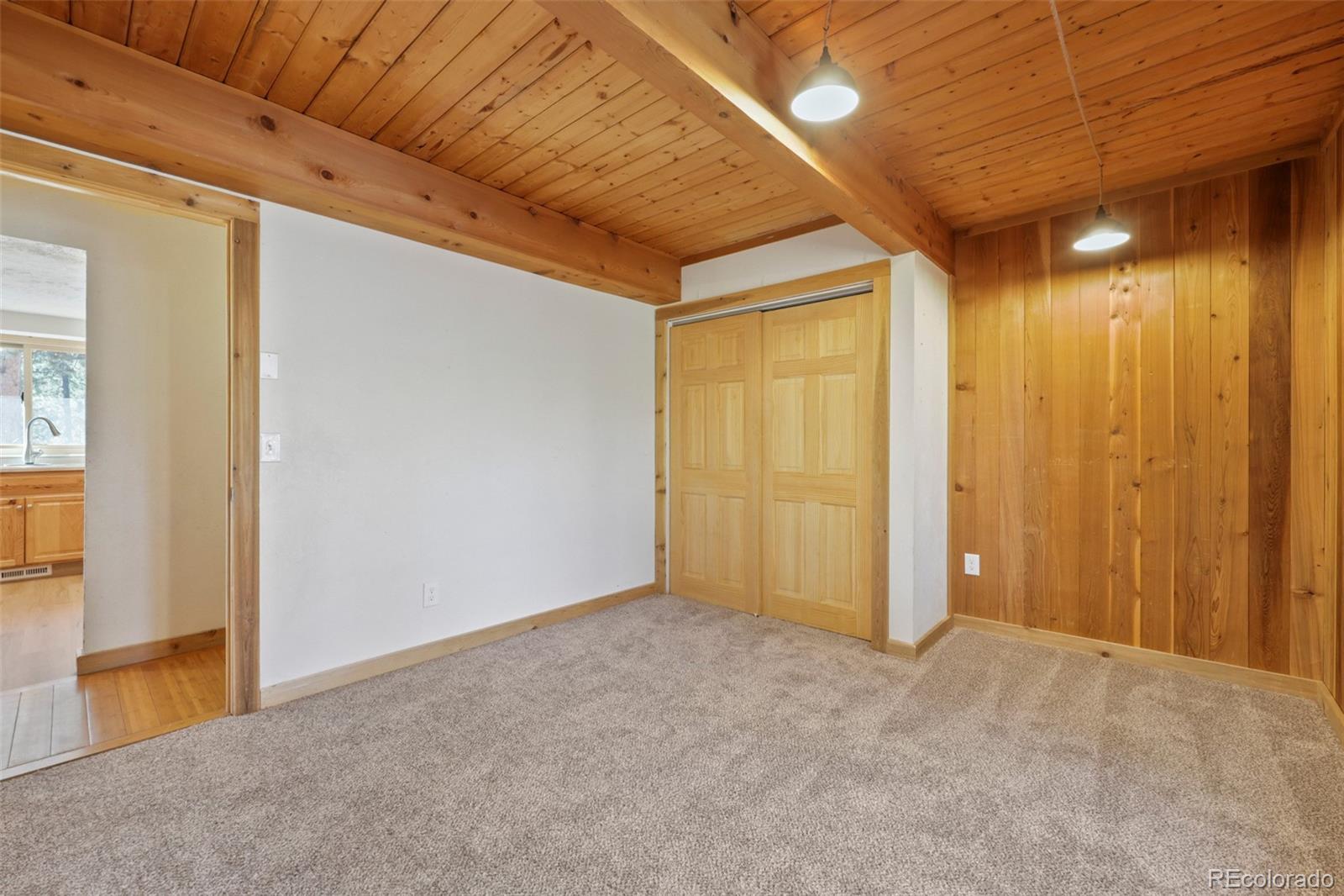 MLS Image #10 for 436  dawson road,pine, Colorado