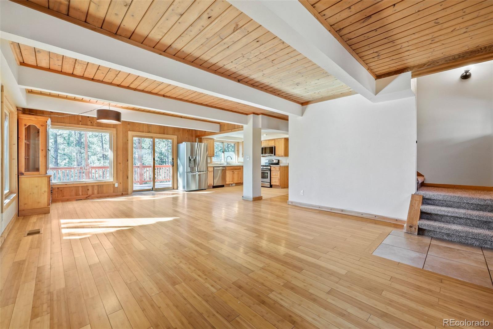 MLS Image #2 for 436  dawson road,pine, Colorado