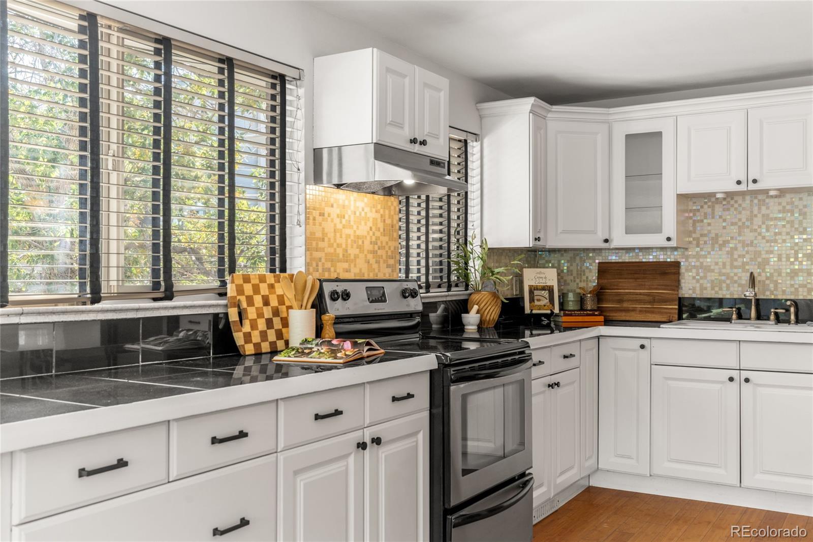 MLS Image #11 for 807 w 4th avenue,denver, Colorado