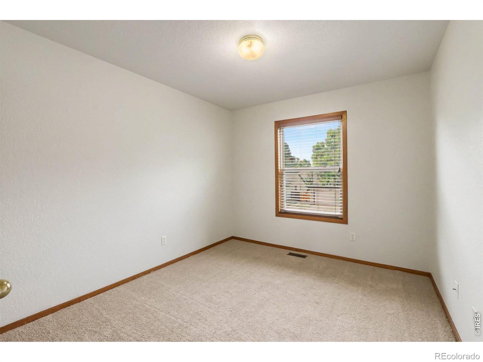 MLS Image #16 for 2524  anemonie drive,loveland, Colorado