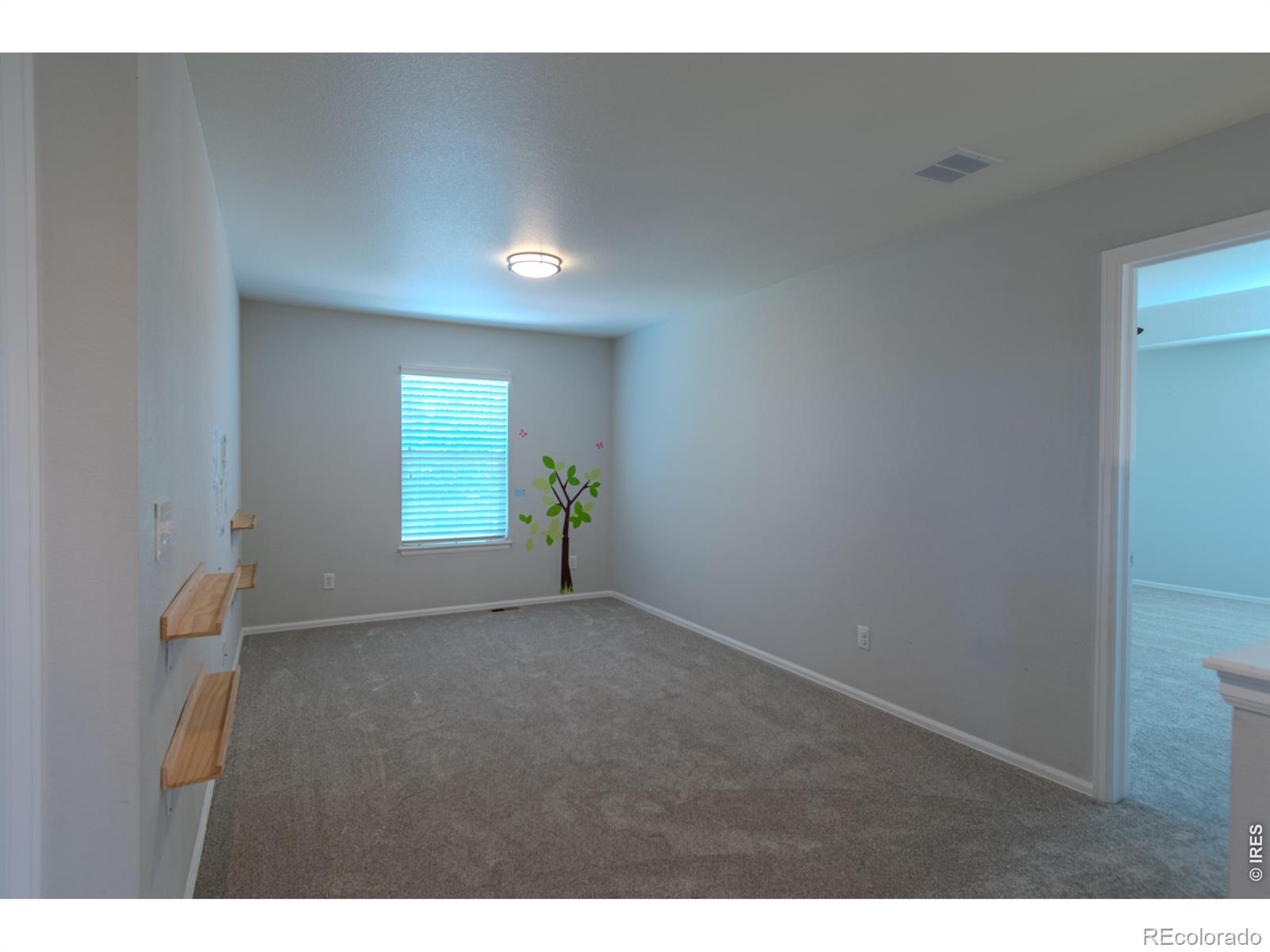 MLS Image #19 for 1667  kelmsley court,windsor, Colorado