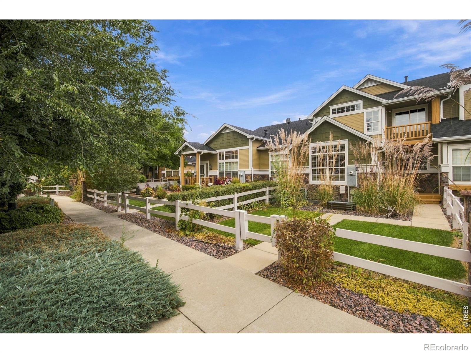 MLS Image #0 for 114  bayside circle,windsor, Colorado