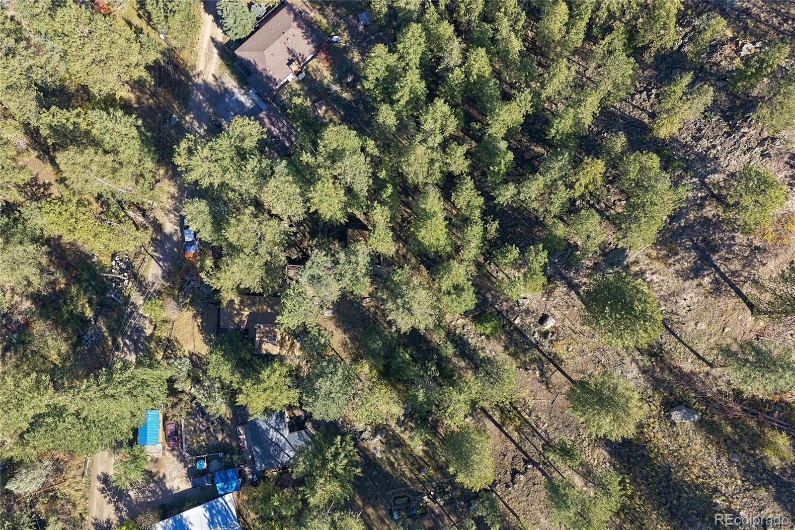 MLS Image #42 for 204  waltonia road,drake, Colorado