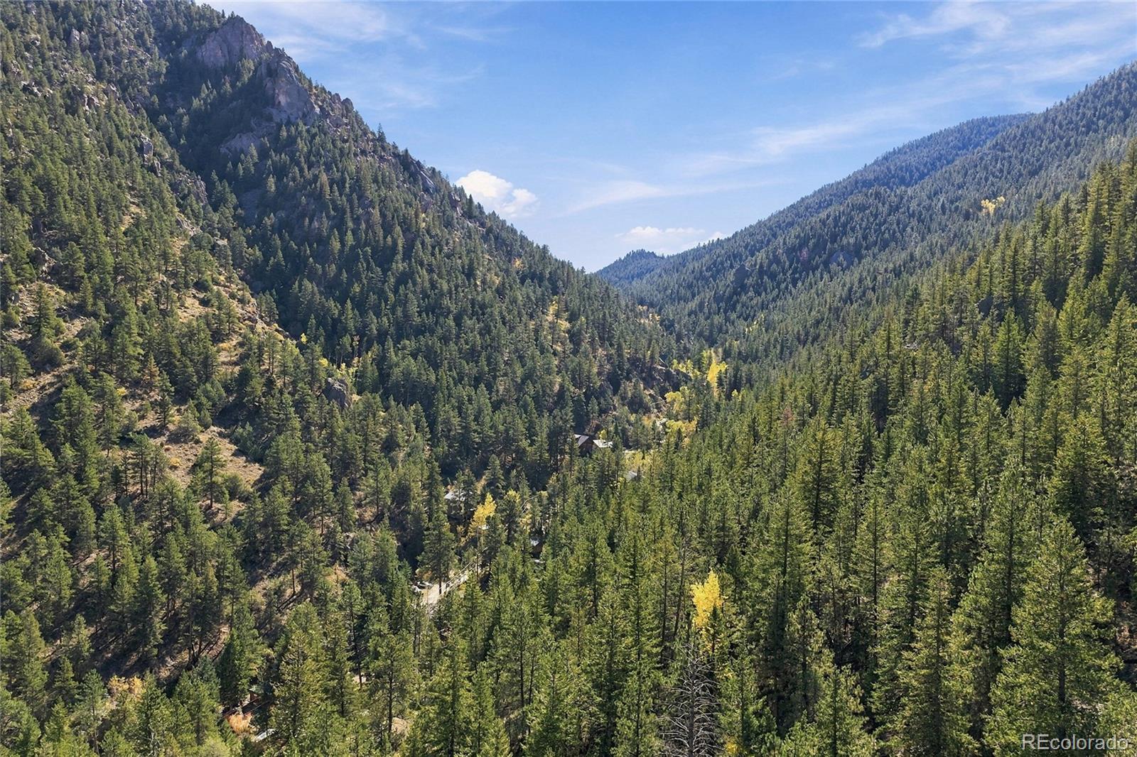 MLS Image #5 for 204  waltonia road,drake, Colorado