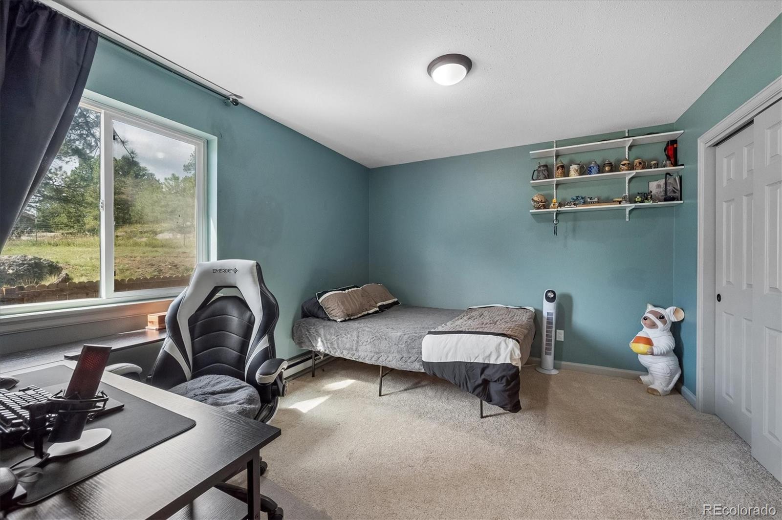MLS Image #16 for 153  chickadee lane,bailey, Colorado