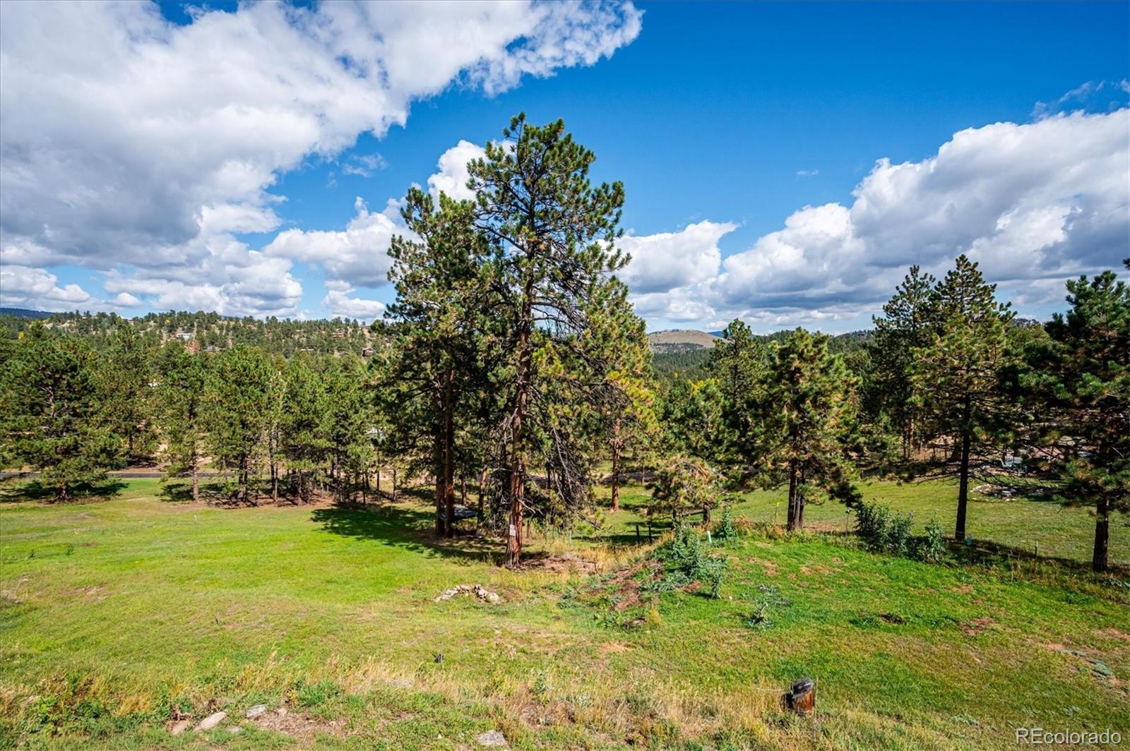 MLS Image #33 for 153  chickadee lane,bailey, Colorado