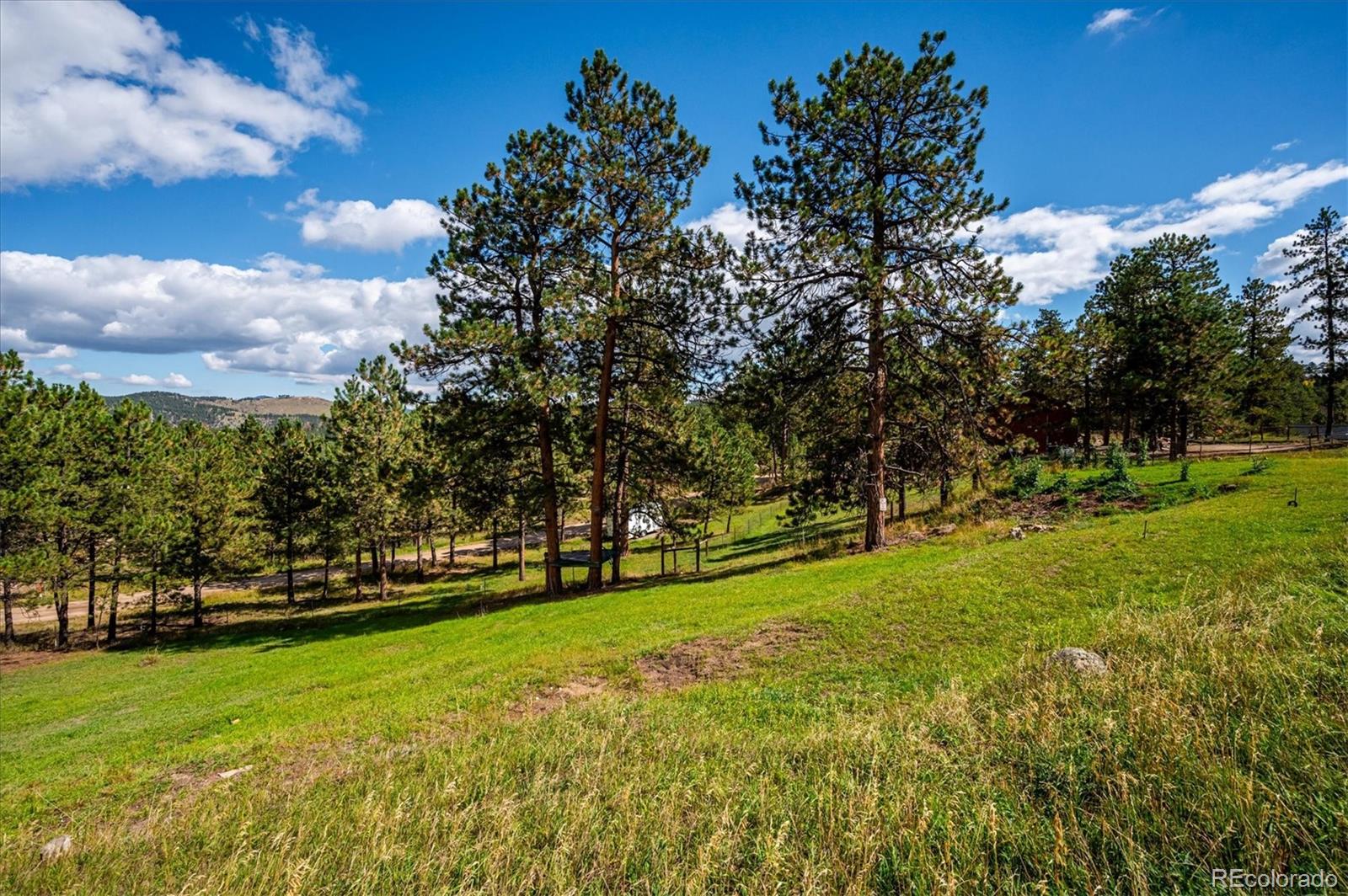 MLS Image #37 for 153  chickadee lane,bailey, Colorado