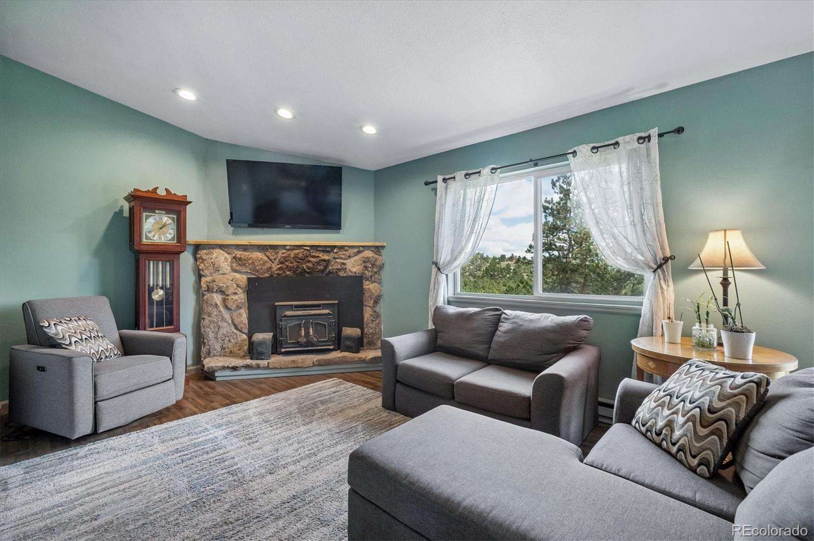 MLS Image #8 for 153  chickadee lane,bailey, Colorado