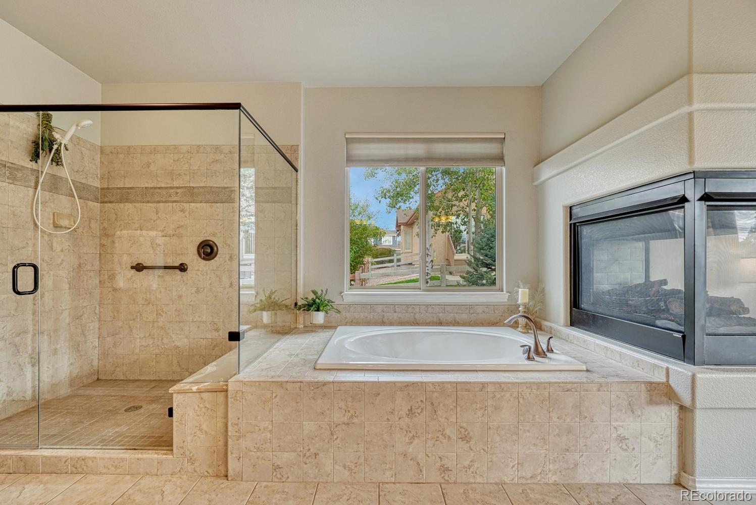 MLS Image #9 for 9321  sky king drive,colorado springs, Colorado