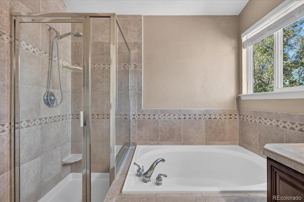 MLS Image #27 for 11346  mesa verde way,parker, Colorado