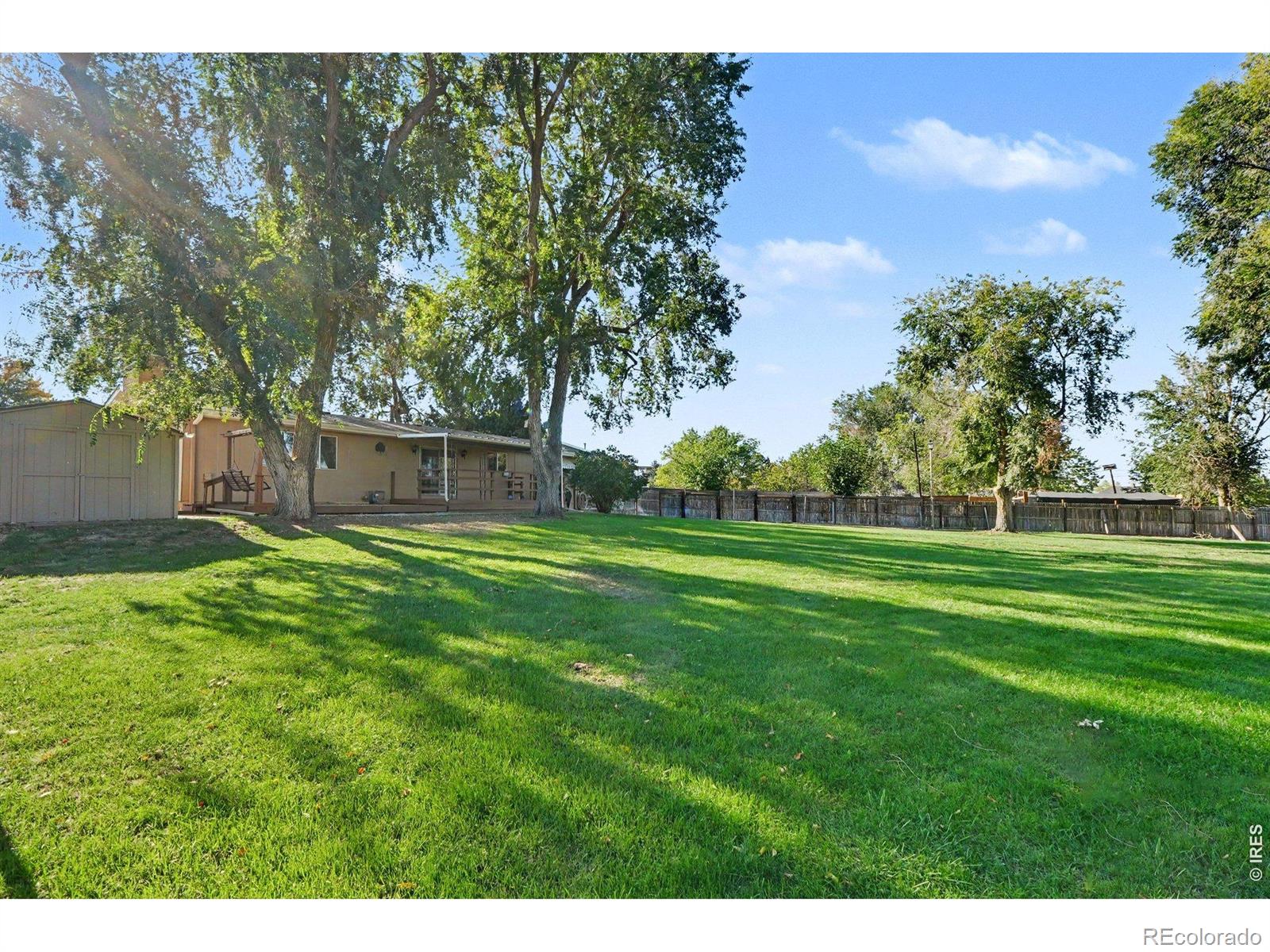 MLS Image #3 for 702  harp court,greeley, Colorado