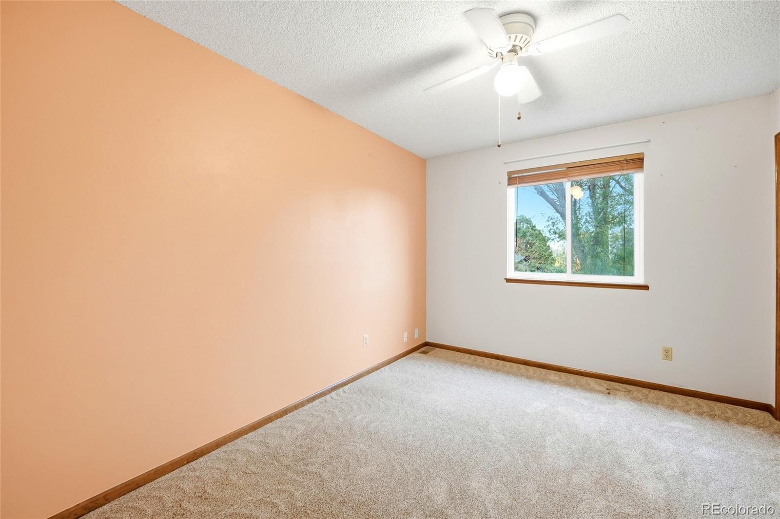 MLS Image #28 for 4880  ramblewood drive,colorado springs, Colorado