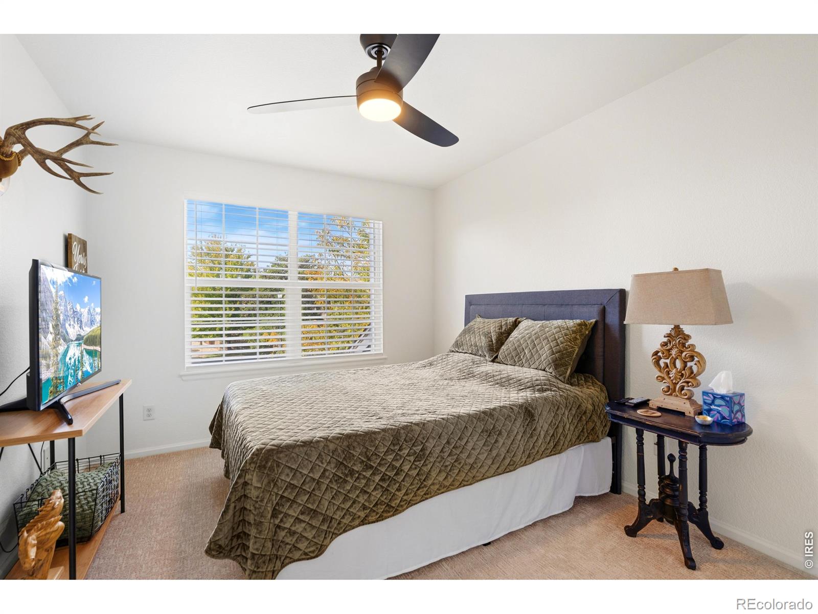 MLS Image #26 for 2211  black duck avenue,johnstown, Colorado