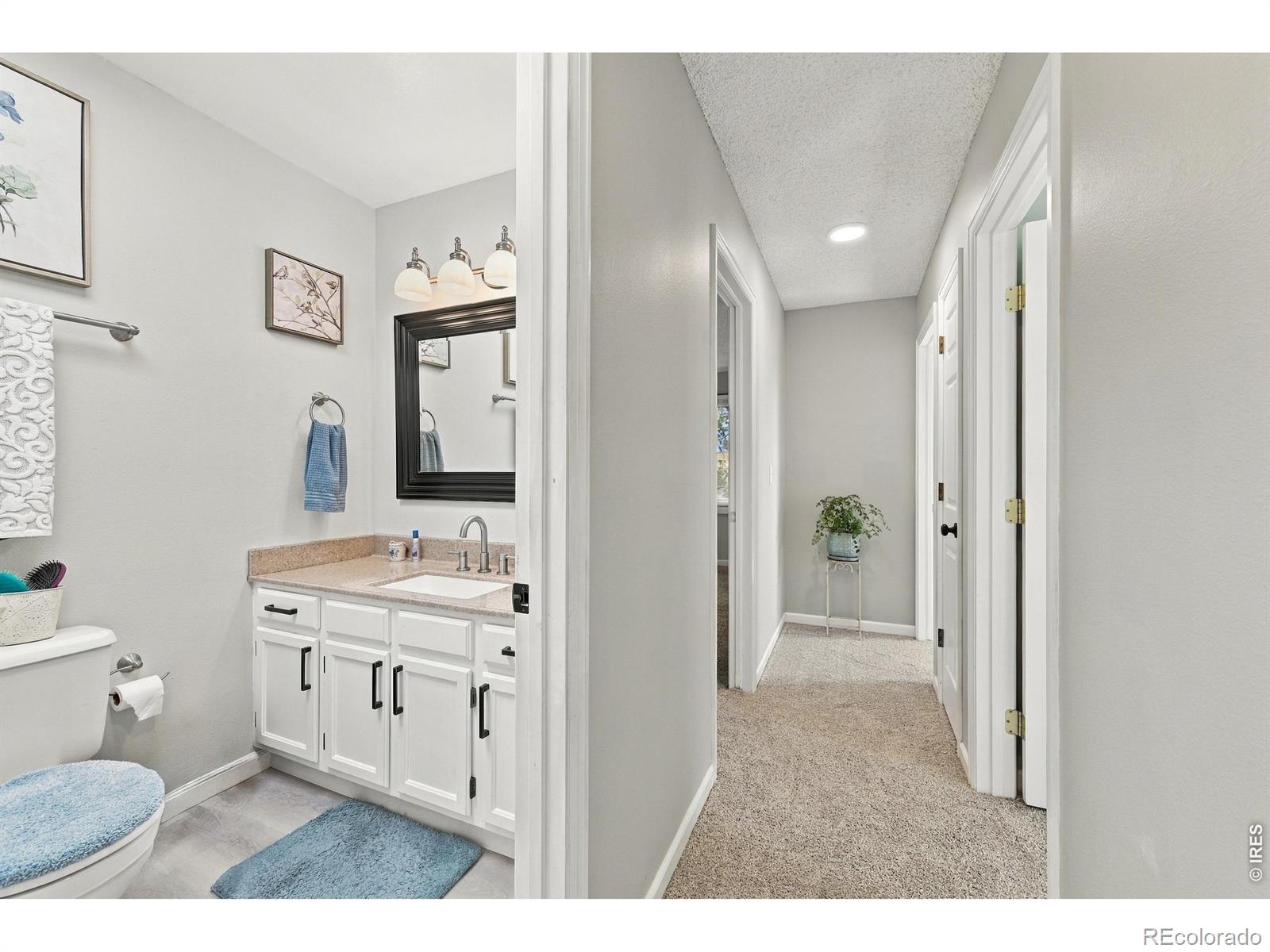 MLS Image #23 for 1800  rolling view drive,loveland, Colorado