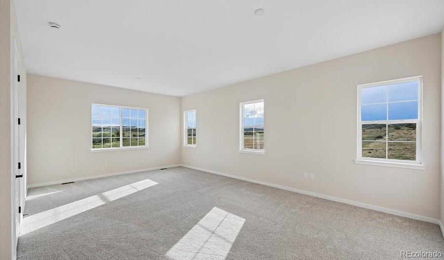 MLS Image #17 for 13900  daffodil court,parker, Colorado