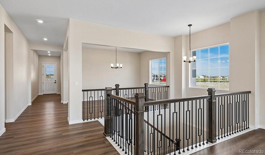 MLS Image #2 for 13900  daffodil court,parker, Colorado