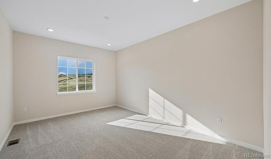 MLS Image #7 for 13900  daffodil court,parker, Colorado