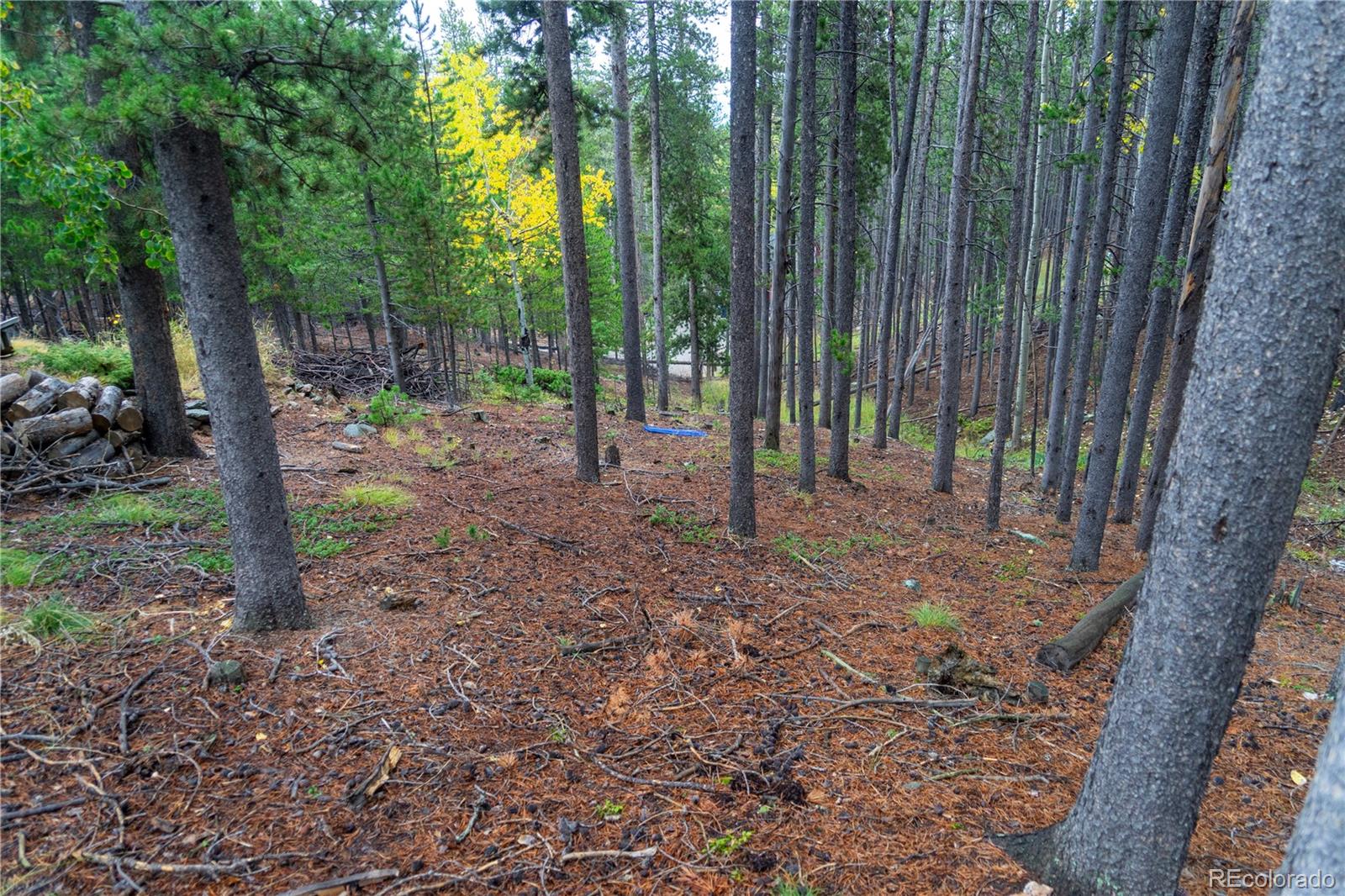 MLS Image #2 for 240  deer road,evergreen, Colorado