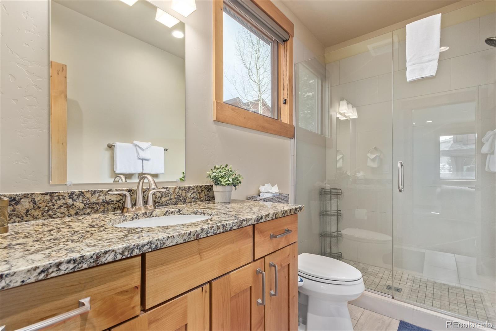 MLS Image #11 for 345  lodge pole circle,silverthorne, Colorado