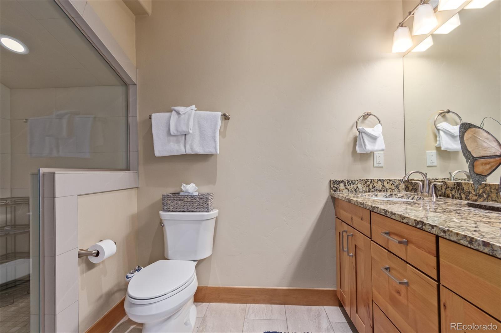 MLS Image #14 for 345  lodge pole circle,silverthorne, Colorado