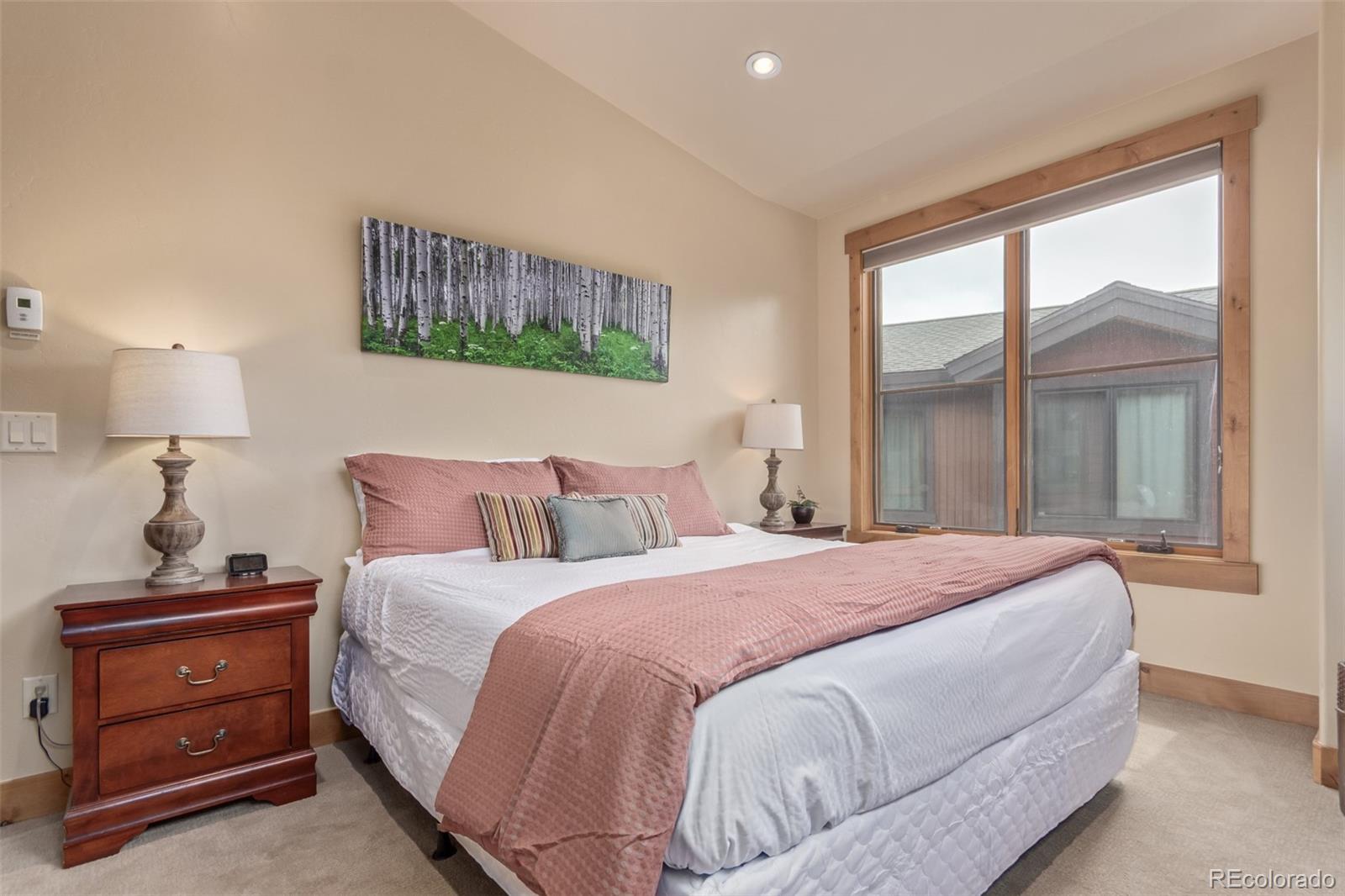 MLS Image #15 for 345  lodge pole circle,silverthorne, Colorado