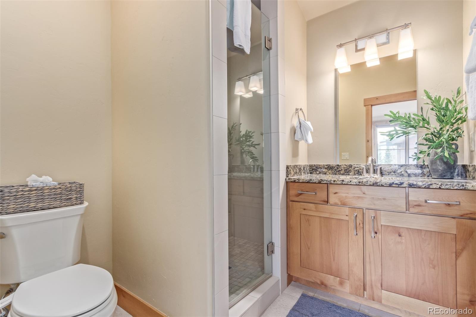 MLS Image #17 for 345  lodge pole circle,silverthorne, Colorado