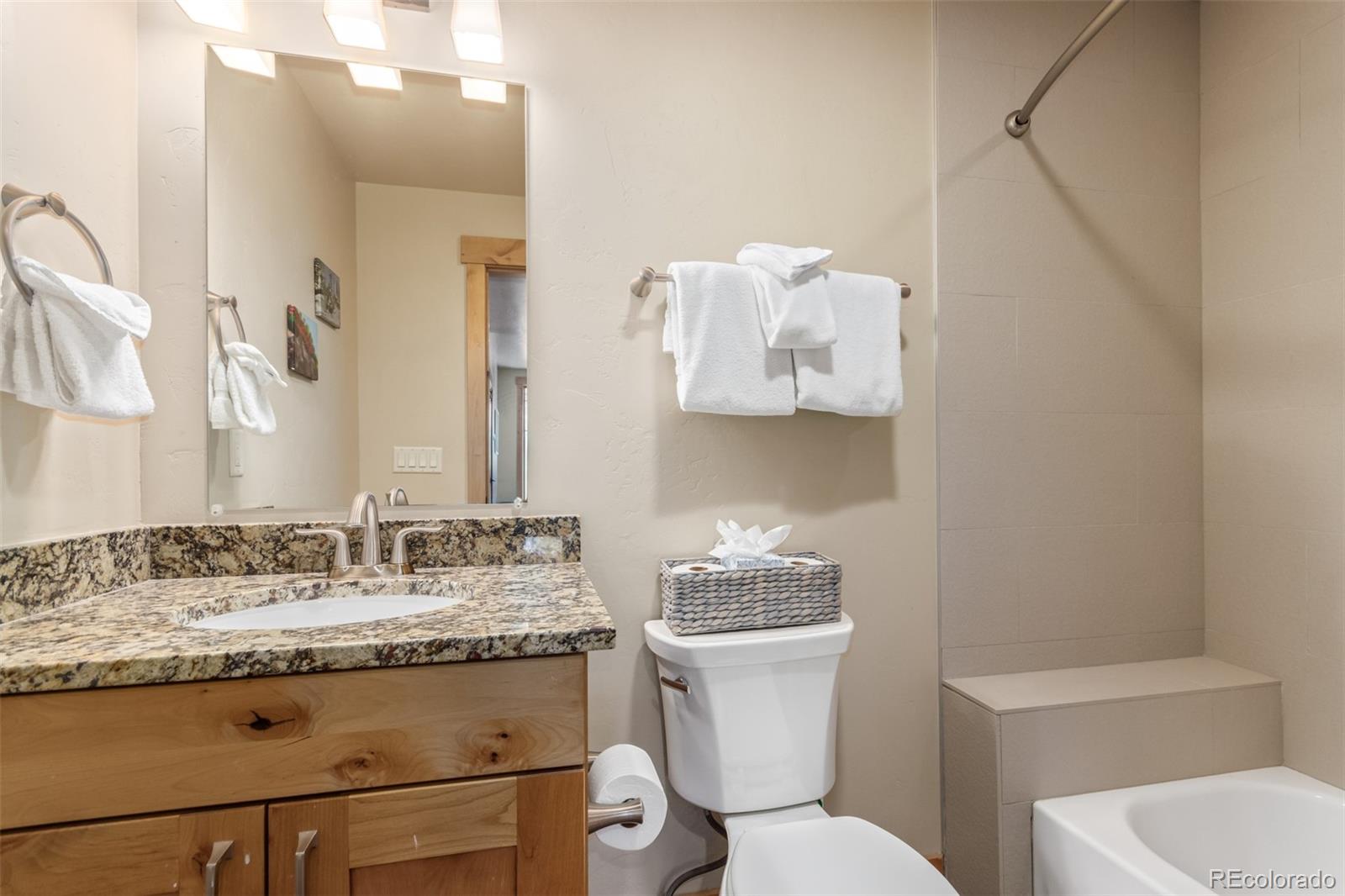 MLS Image #8 for 345  lodge pole circle,silverthorne, Colorado