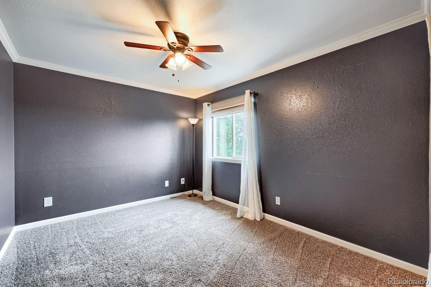 MLS Image #20 for 7835  canvasback circle,littleton, Colorado