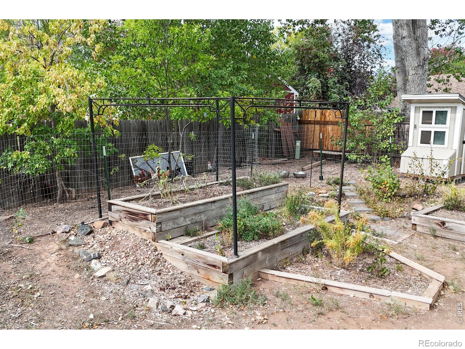 MLS Image #31 for 2443  montmorency street,fort collins, Colorado