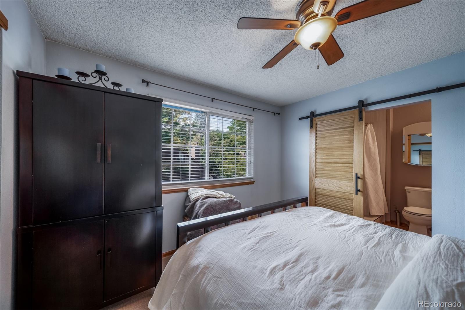MLS Image #18 for 834 s vance street,lakewood, Colorado